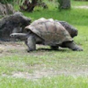 Meet your Posher, Maggie